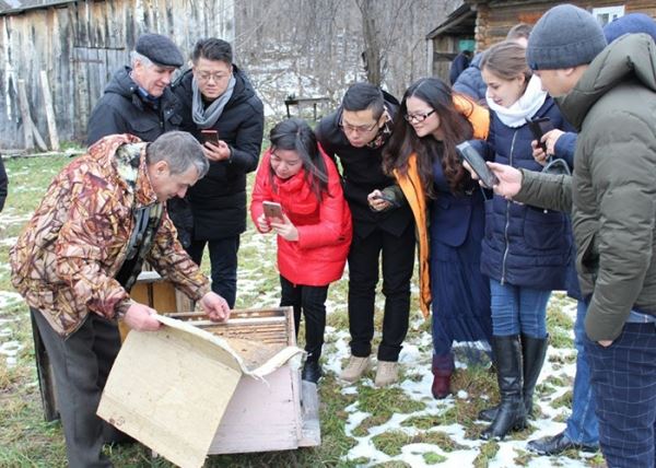 ​В Башкортостане появится промышленная пасека