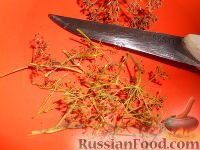 Огурцы, консервированные без уксуса