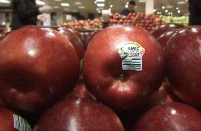 В США начали продавать "бессмертные" яблоки: они могут храниться целый год