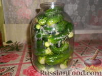 Огурцы, консервированные без уксуса