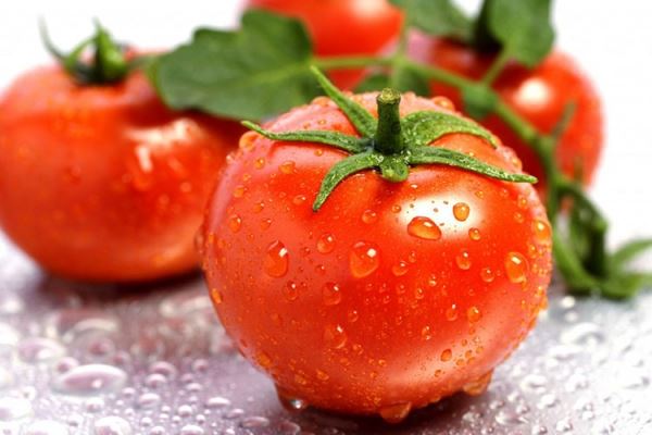 Самые плодовитые сорта помидоров