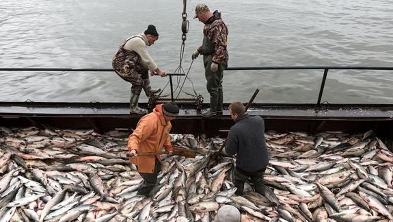 <br />
Законодательство в сфере рыболовства не устраивает сахалинцев<br />
